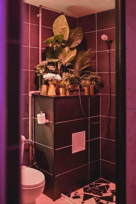 Le Lux Appartement